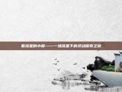 看流星的小猴——一场流星下的灵动探索之旅