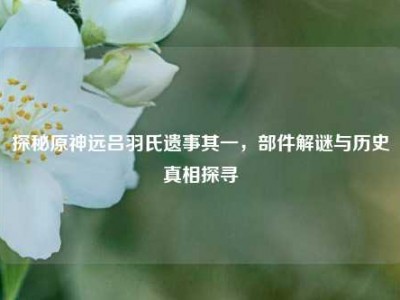 探秘原神远吕羽氏遗事其一，部件解谜与历史真相探寻