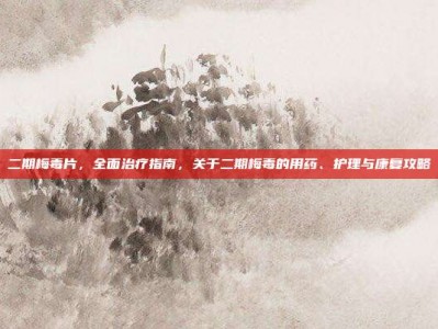 二期梅毒片，全面治疗指南，关于二期梅毒的用药、护理与康复攻略