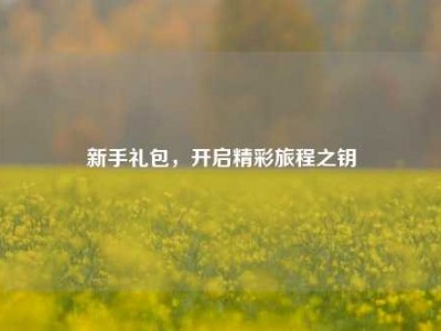 新手礼包，开启精彩旅程之钥