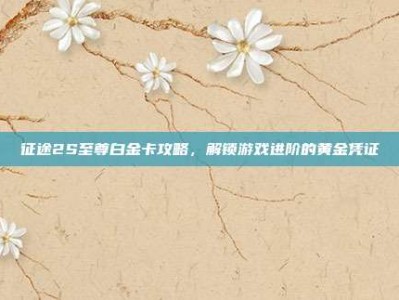征途2S至尊白金卡攻略，解锁游戏进阶的黄金凭证