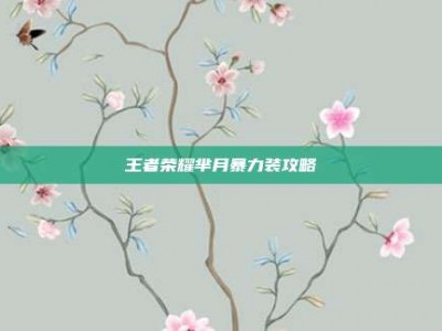 王者荣耀芈月暴力装攻略