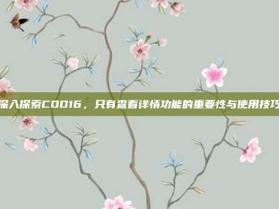 深入探索COD16，只有查看详情功能的重要性与使用技巧