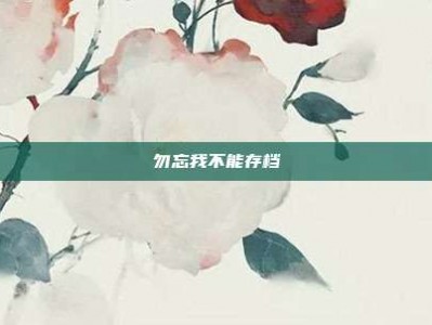 勿忘我不能存档