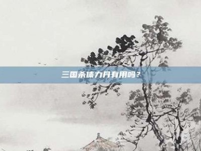 三国杀体力丹有用吗？