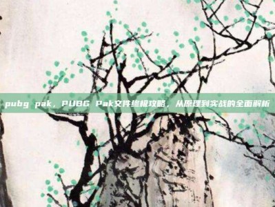 pubg pak，PUBG Pak文件终极攻略，从原理到实战的全面解析