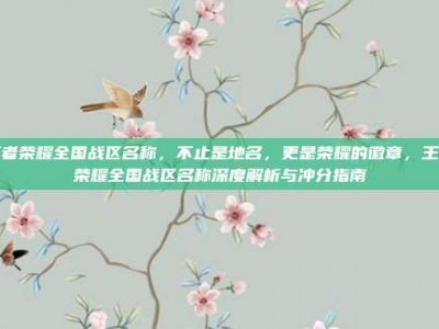 王者荣耀全国战区名称，不止是地名，更是荣耀的徽章，王者荣耀全国战区名称深度解析与冲分指南