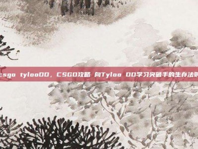 csgo tylooDD，CSGO攻略 向Tyloo DD学习突破手的生存法则