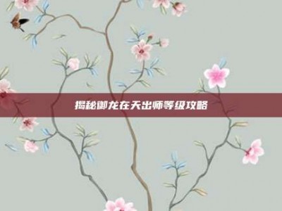 揭秘御龙在天出师等级攻略