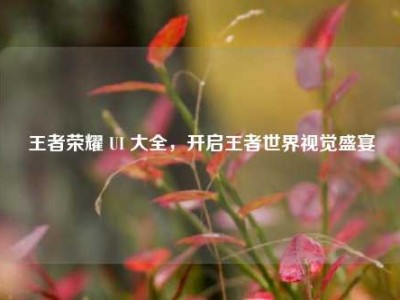 王者荣耀 UI 大全，开启王者世界视觉盛宴