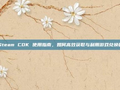 Steam CDK 使用指南，如何高效获取与利用游戏兑换码