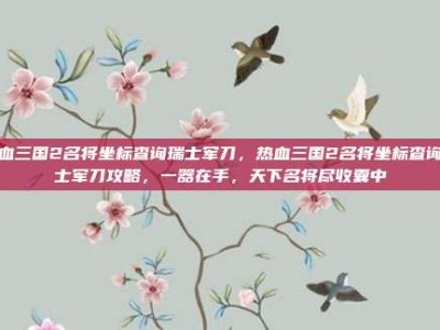 热血三国2名将坐标查询瑞士军刀，热血三国2名将坐标查询瑞士军刀攻略，一器在手，天下名将尽收囊中