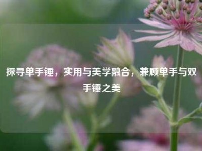 探寻单手锤，实用与美学融合，兼顾单手与双手锤之美