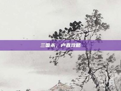 三国杀，卢直攻略