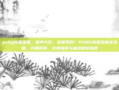pubg惊雷宝箱，雷声大作，宝物驾到！PUBG惊雷宝箱全攻略，开箱时机、兑换指南与血泪避坑指南