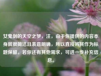 女鬼剑的天空之梦，注，由于你提供的内容本身就很简洁且表意明确，所以直接将其作为标题保留。若你还有其他需求，可进一步补充信息。