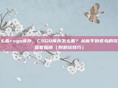 怎么看csgo库存，CSGO库存怎么看？从新手到老鸟的完整查看指南（附避坑技巧）