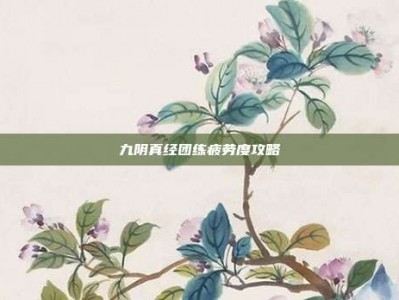九阴真经团练疲劳度攻略