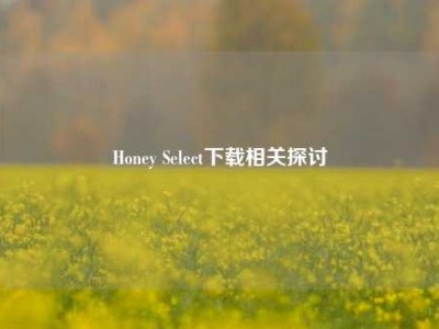 Honey Select下载相关探讨