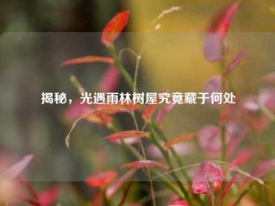揭秘，光遇雨林树屋究竟藏于何处