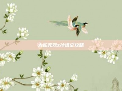 大蛇无双z孙悟空攻略