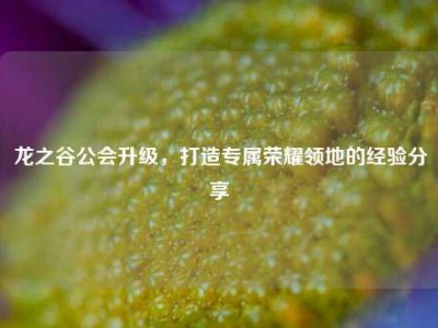 龙之谷公会升级，打造专属荣耀领地的经验分享
