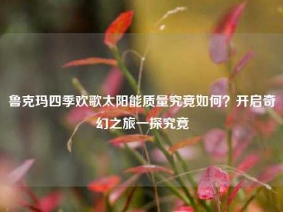 鲁克玛四季欢歌太阳能质量究竟如何？开启奇幻之旅一探究竟