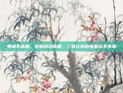 电脑不休眠，告别自动休眠，三步让你的电脑永不失联