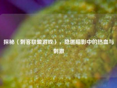 探秘〈刺客联盟游戏〉，隐匿暗影中的热血与刺激