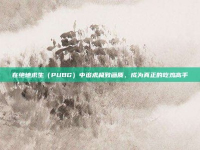 在绝地求生（PUBG）中追求极致画质，成为真正的吃鸡高手