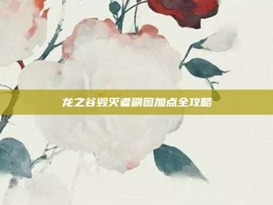 龙之谷毁灭者刷图加点全攻略