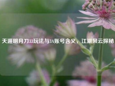 天涯明月刀33玩法与3A账号含义，江湖风云探秘