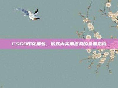 CSGO印花腰包，游戏内实用道具的全面指南