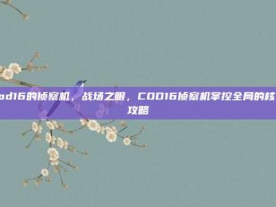 cod16的侦察机，战场之眼，COD16侦察机掌控全局的核心攻略