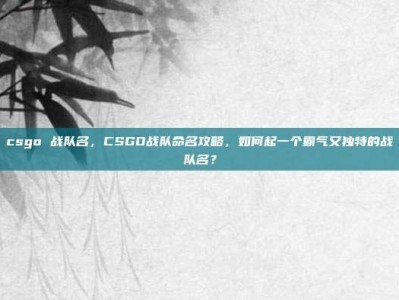 csgo 战队名，CSGO战队命名攻略，如何起一个霸气又独特的战队名？