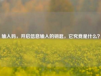 输入码，开启信息输入的钥匙，它究竟是什么？