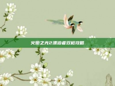 火炬之光2漂泊者双枪攻略