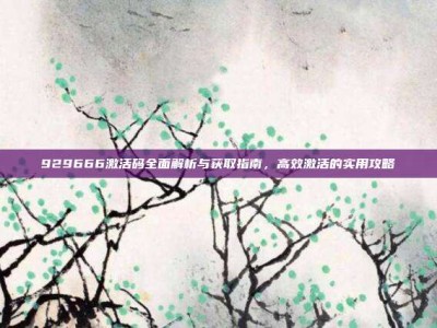 929666激活码全面解析与获取指南，高效激活的实用攻略