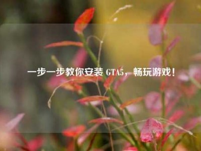 一步一步教你安装 GTA5，畅玩游戏！