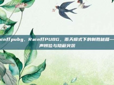 rain打pubg，Rain打PUBG，雨天模式下的制胜秘籍—听声辨位与隐蔽突袭