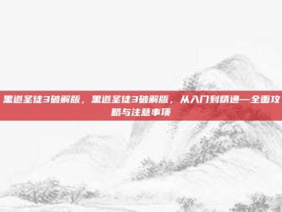 黑道圣徒3破解版，黑道圣徒3破解版，从入门到精通—全面攻略与注意事项