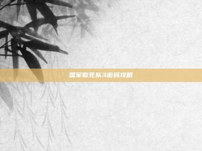 盟军敢死队3密码攻略