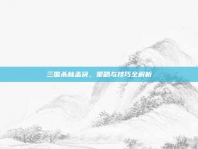 三国杀林孟获，策略与技巧全解析