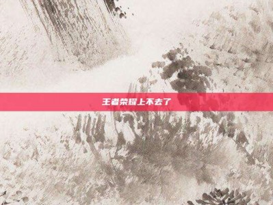 王者荣耀上不去了