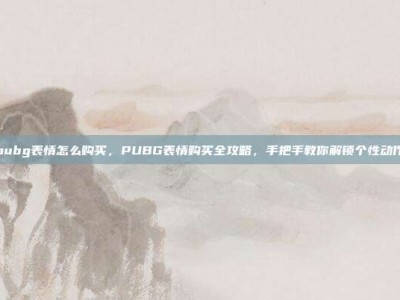 pubg表情怎么购买，PUBG表情购买全攻略，手把手教你解锁个性动作
