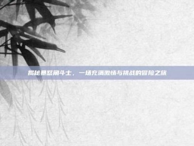 揭秘暴怒角斗士，一场充满激情与挑战的冒险之旅