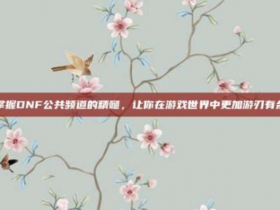 掌握DNF公共频道的精髓，让你在游戏世界中更加游刃有余