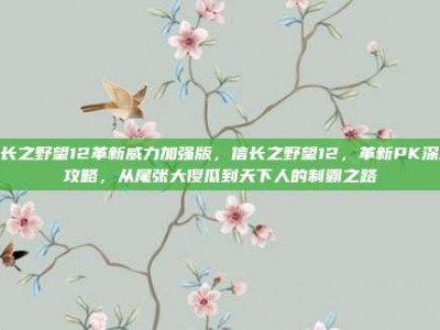信长之野望12革新威力加强版，信长之野望12，革新PK深度攻略，从尾张大傻瓜到天下人的制霸之路