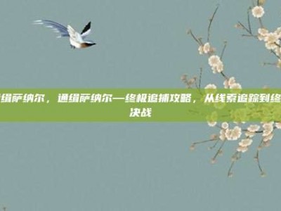 通缉萨纳尔，通缉萨纳尔—终极追捕攻略，从线索追踪到终极决战
