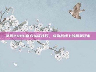 掌握PUBG官方认证技巧，成为战场上的精英玩家